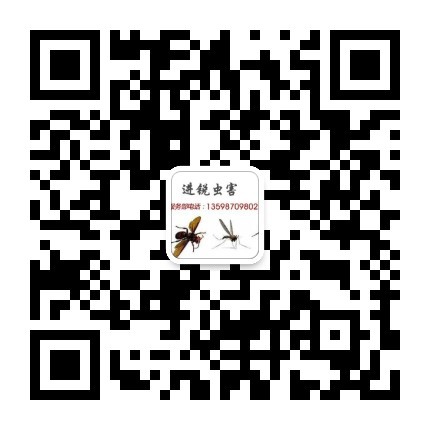微信