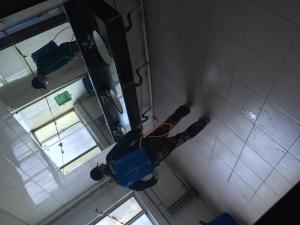 室内蚊蝇消杀
