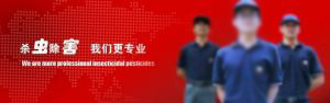 公司简介